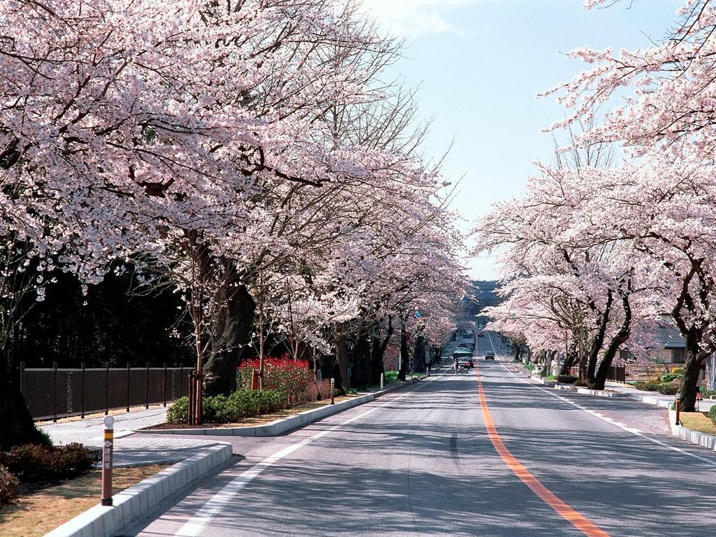 Hamabeno Ryouriyado Houraikan Kamaishi المظهر الخارجي الصورة